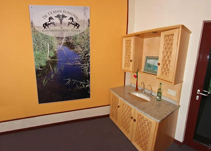 호텔 Gesundheitshotel Roessle 3*